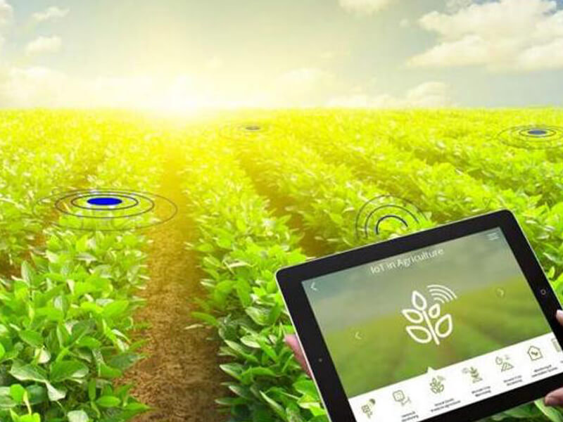 сельское хозяйство